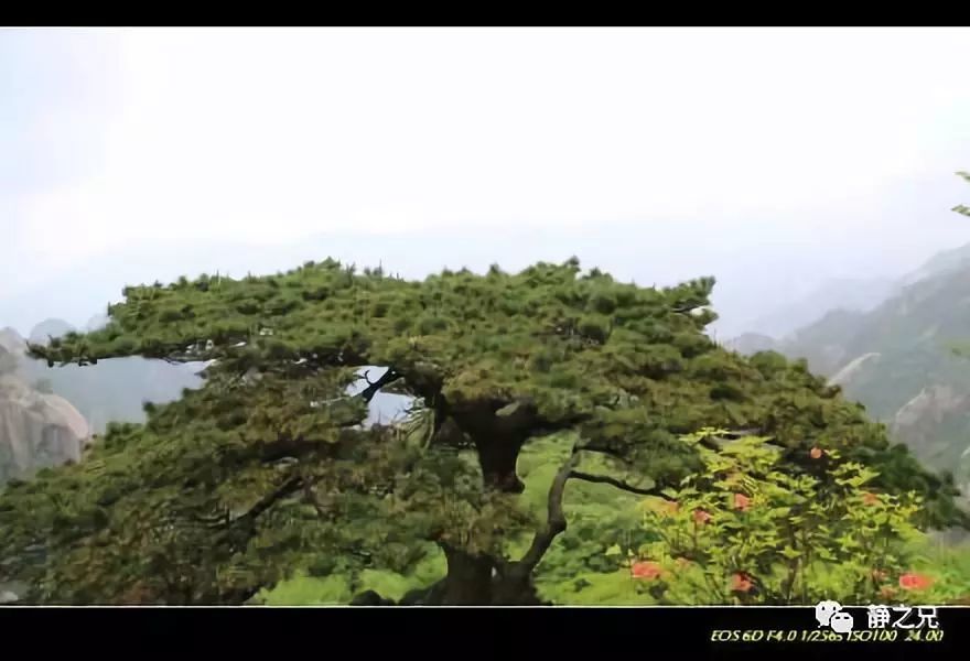 用不用王阳明,这是个头痛的问题