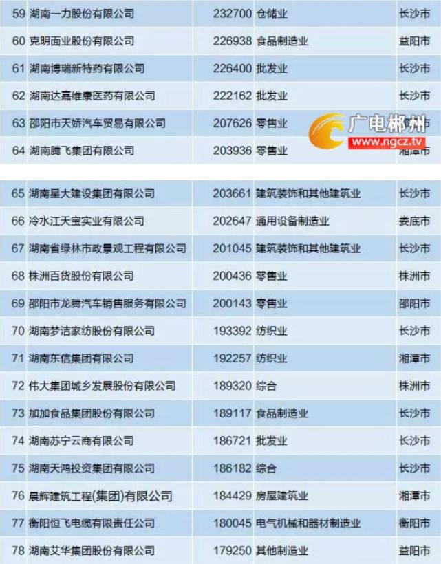 智能时代的守护之光：监控系统安装引领安全前沿