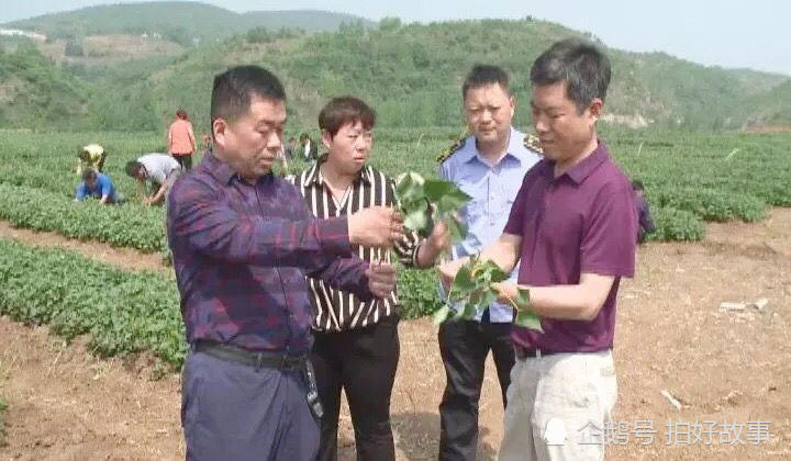 爱吃酸辣红薯粉 他抛舍千万产业扎根深山13年