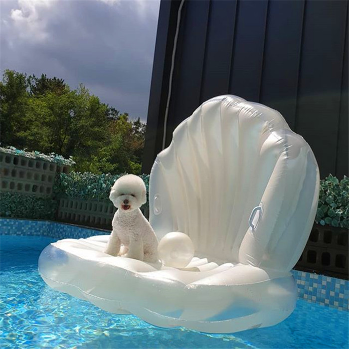 人活的都不如狗,韩国这只富豪比熊的生活简直