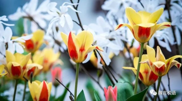 先开票后付款将定罪量刑。是真的还是假的?