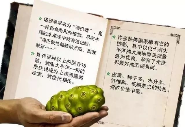 诺丽果对哪些疾病有改善作用15大好处您不能拒绝