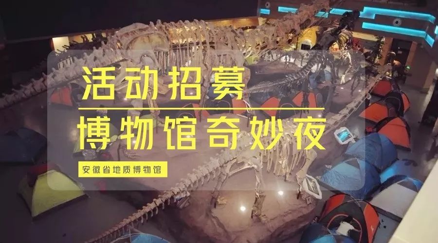 恐龙宝宝等你入眠——博物馆奇妙夜新年第一季
