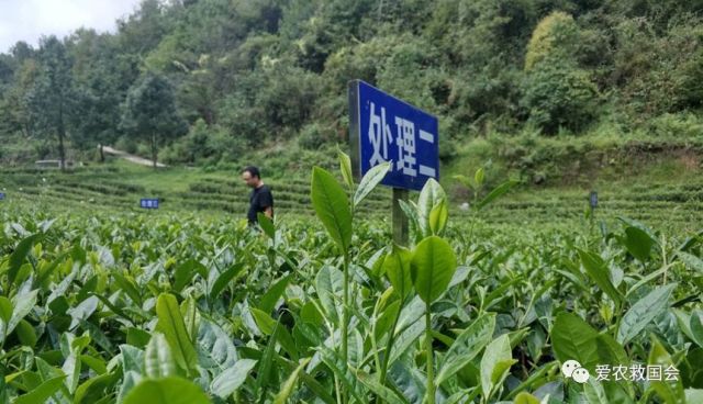 高氯酸盐的来源与危害