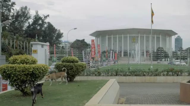 访二〇一八新锐摄影奖入围摄影师冯骏原&曾嘉慧