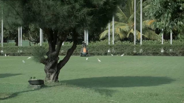 访二〇一八新锐摄影奖入围摄影师冯骏原&曾嘉慧