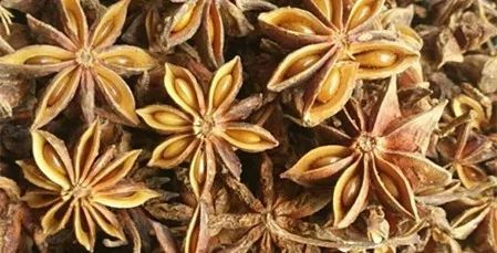 疯狂的八角:已涨至20元一斤,创17年以来