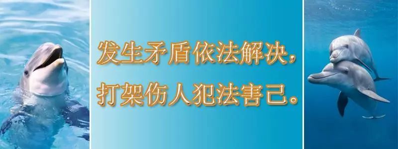 "普法达人《大家说法》十佳主讲人宁彩霞炼成记