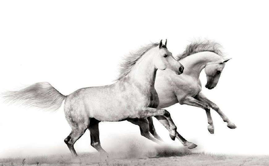 八字命理中为什么禄马同乡必定是好命无疑?