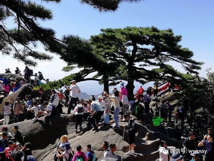 人人人人人人!安徽这个景区发紧急通知:游客爆