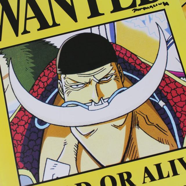 有很大的关系,那就是被誉为"世界最强的男人"的白胡子爱德华·纽盖特