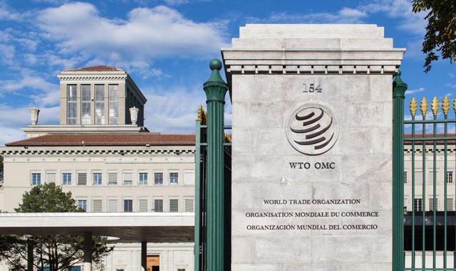 2018WTO公共论坛马云出席呼吁:支持全球贸易
