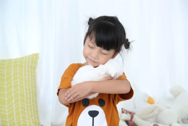 超适合1-3岁娃看的10部动画片,错过就是你的损