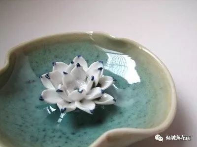 一腔诗意喂了狗