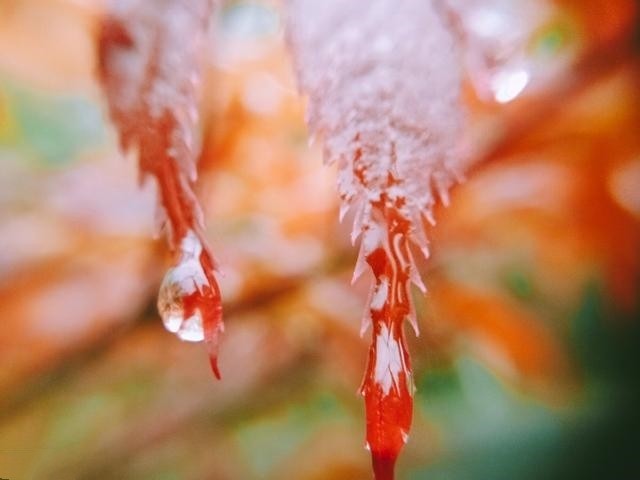 那年今日,你我初次相遇,唯美了我的整个秋季!