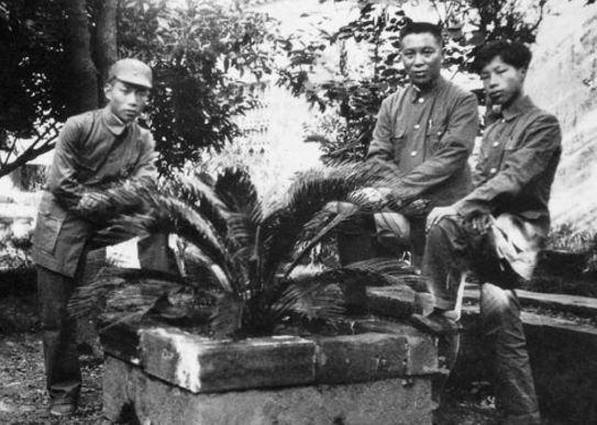 他就是黄道的儿子黄知真.