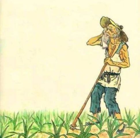 悯农·锄禾日当午