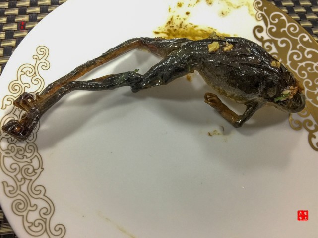 后来查资料才知道管它叫林蛙,其实是有点委屈人家.