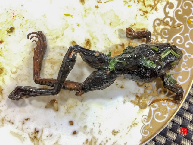 后来查资料才知道管它叫林蛙,其实是有点委屈人家.