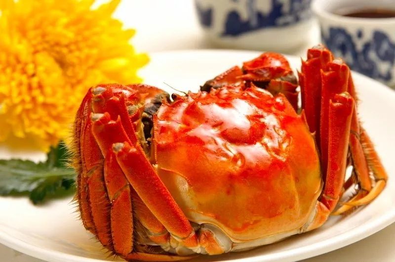 红楼螃蟹宴:持螯更喜桂阴凉
