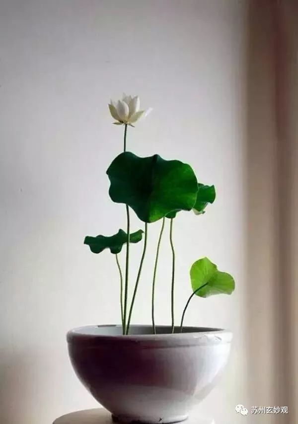 道教常识:道教祀神的供品有哪些?