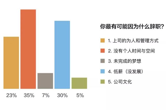 我们问了很多人辞职的理由 没有私生活 觉得老板傻