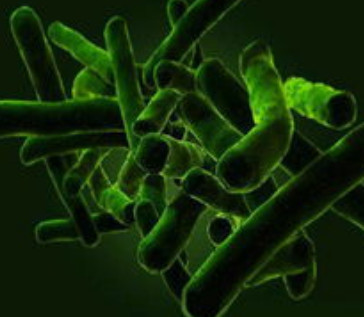 淋巴结核到底传不传染?我怎么听有人说,传染呢