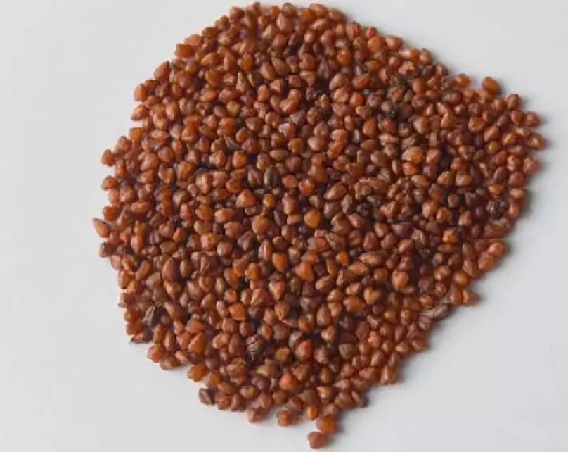 身为吴起人吴起的特产你知道多少