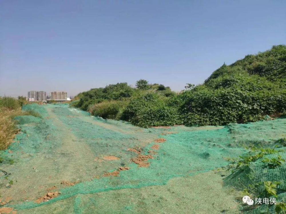 陕西地建集团网络舆情应对指南