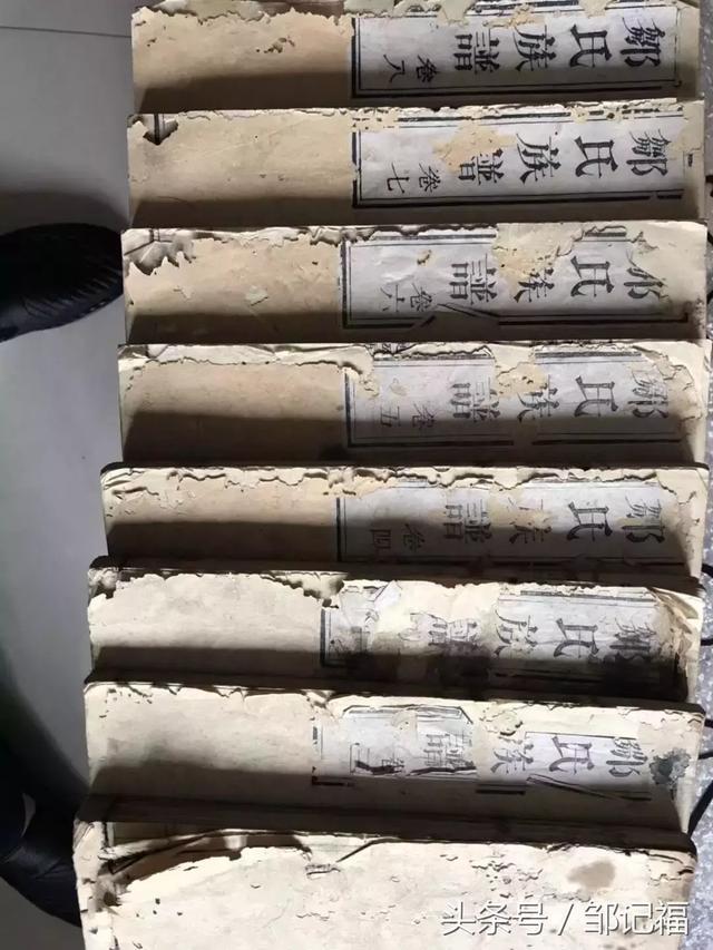 邹氏家谱字辈汇编,全国征集补充中!期待您的帮助!