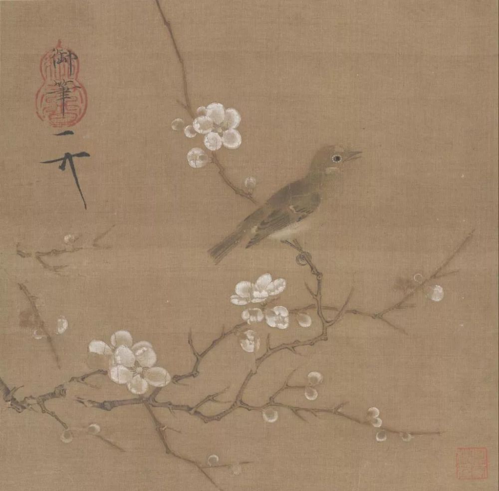 董卿|董卿：如果能穿越，一定会去宋朝看看