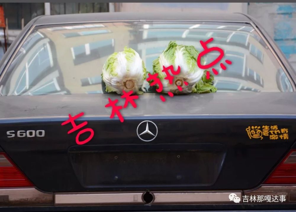 吉林市奔驰车上晾晒白菜,大葱!土豪!一定是土豪!