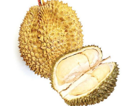 这4种都是硬壳水果哪一种你可以用1分钟剥开算你厉害了