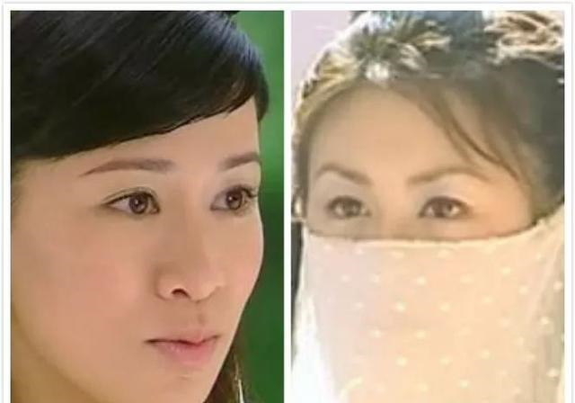 江湖白道之首慈航静斋斋主,大唐双龙传是梵清惠,到了覆雨翻云是言静庵