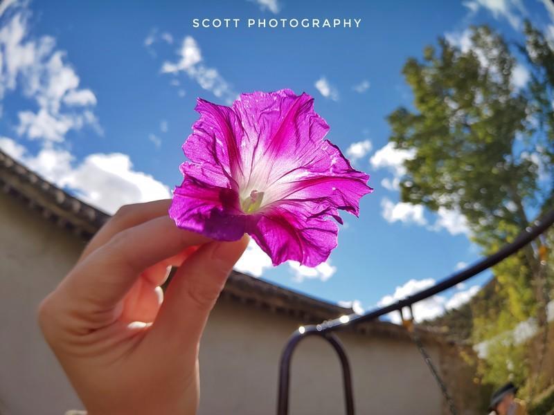 诺基亚X7拍照样张曝光 蔡司镜头效果惊艳 或将