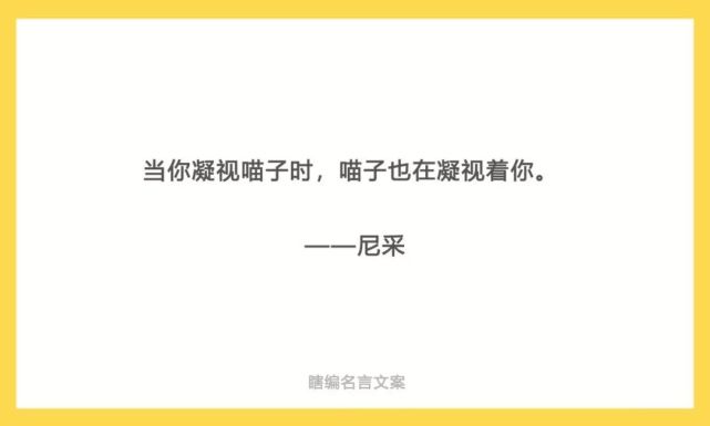 18最丧的文案 是这些瞎编的名人名言