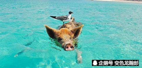 旅游:你知道去埃及、迪拜这些地方最合适的季