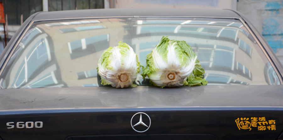 吉林市奔驰车上晾晒白菜,大葱!大家见过吗!