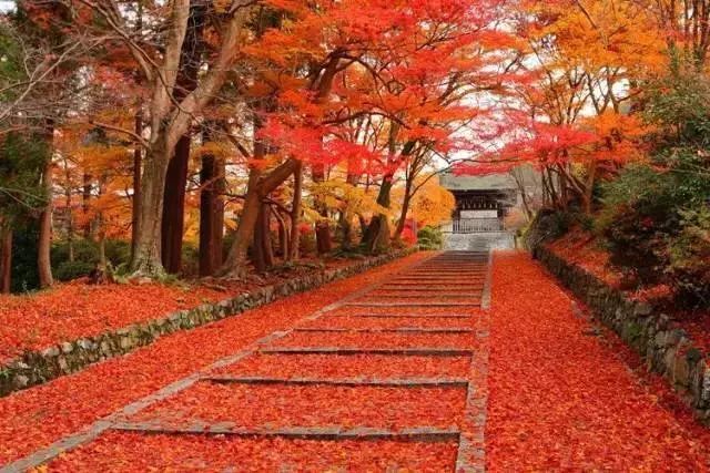 高发|秋季是这7种疾病的高发时节，如何预防“多病之秋“？