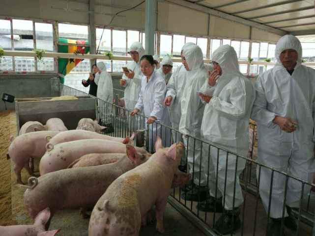 腾讯内容开放平台