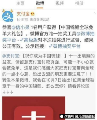 支付宝中国锦鲤信小呆现身,转发这个信小呆下半辈子不用工作