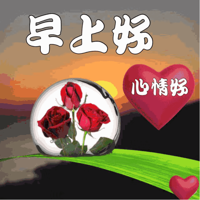 中老年表情包,心境自在,其乐无比!