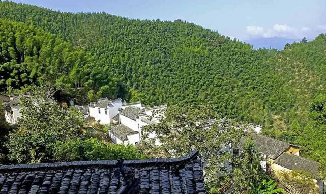 漫山翠竹,沁人心脾,还有深处人家竹海仙境!