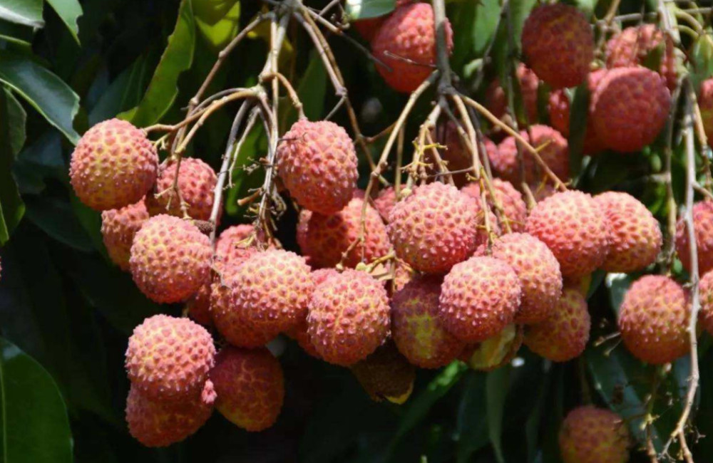 广西最寒酸的县城,人口总数省内排名第三,交通