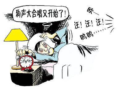 狗吠影响睡眠致3死1伤悲剧,动物引发的城市"噪音"何去何从?