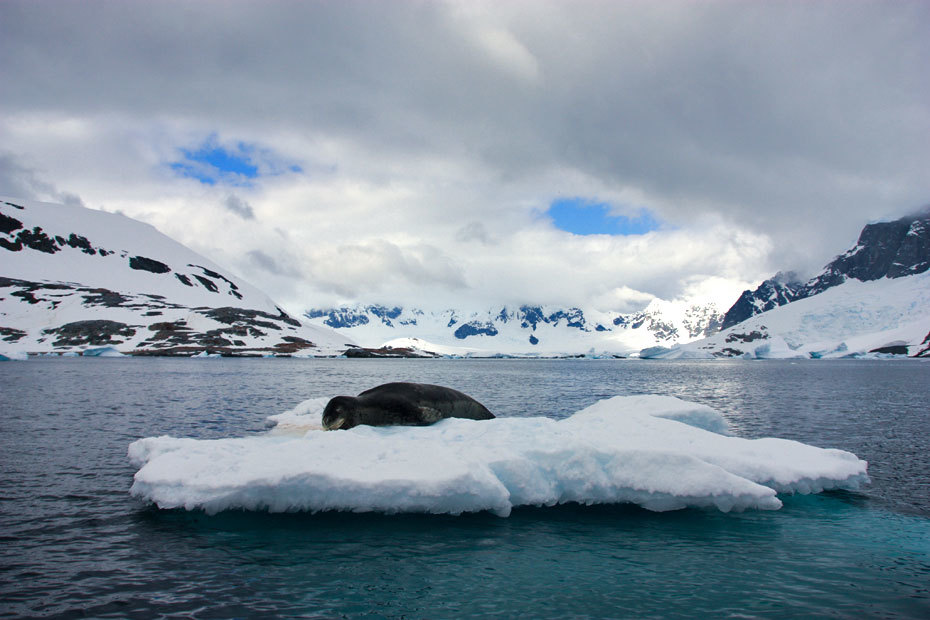 科学家在南极的冰下湖中发现新世界那里充满了神秘色彩