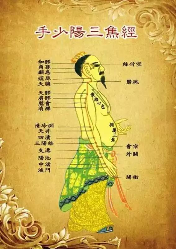 十二经络密码百脉调畅天人合一治五脏之病
