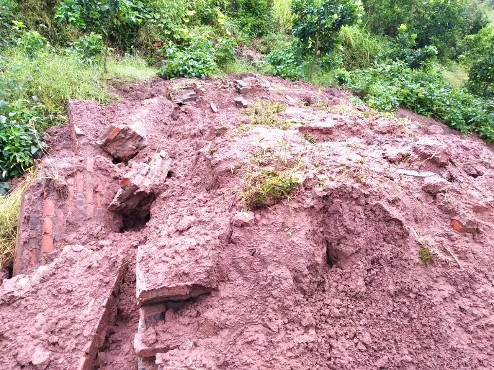 渝北区殡葬领域突出问题专项整治行动显实效