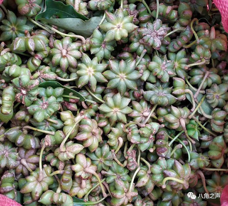 八角、桂皮产地最新行情资讯