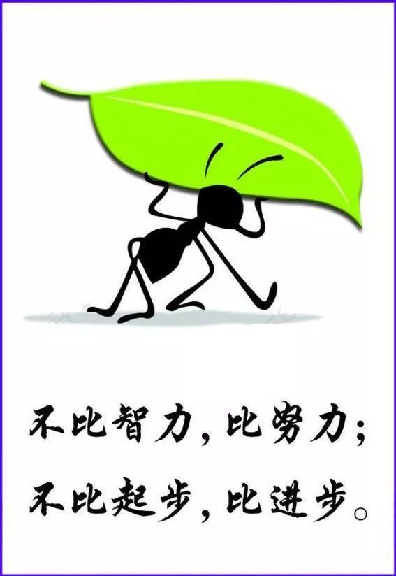 微商早安正能量语录 早安语录分享 正能量励志语句2021